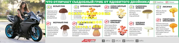 а пвп мука Канск