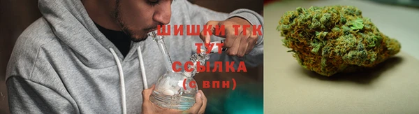 бошки Гусев