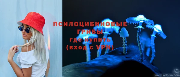 spice Гусиноозёрск