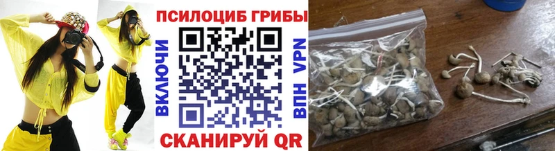 Псилоцибиновые грибы Cubensis  магазин продажи   Новоржев 
